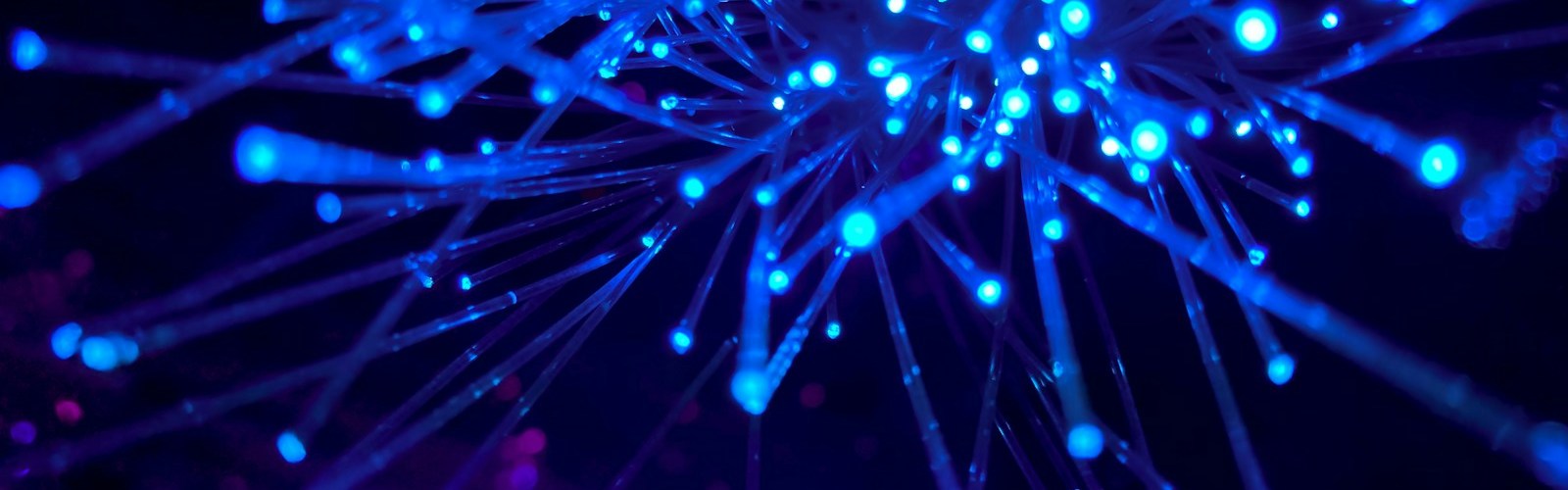 purple and blue light digital wallpaper